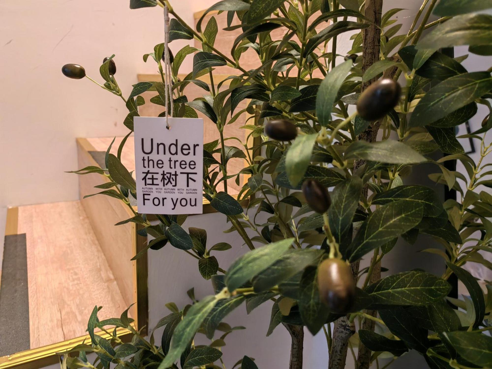 Garden Historical Loft With Courtyard And Citywalk- Near Downtown Wukang Road Apartment Shanghai